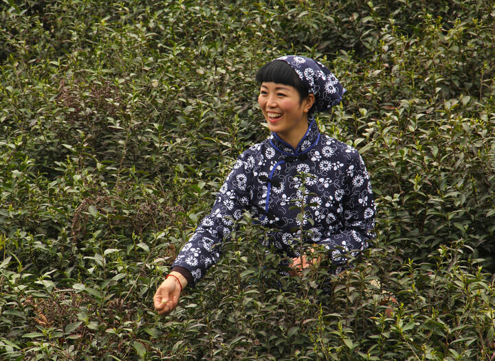 17间房主播跳舞 直播10